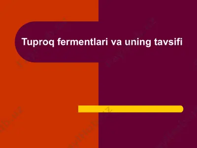 tuproq fermentlari va uning tavsifi — PPTX