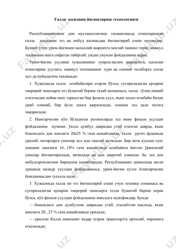 ган ғалла гарамланиб бошокдаги доннинг намлиги 16....18 % га камайгунга кадар техник воситалар ёрдамида куритилади; — куритилган ғалла стационарда ишлаётган комбайн ёрдамида янчилади. агар учинчи технологиядан фойдаланилса: 1. урилган ғалла олиб кетилганидан сунг, далани такрорий экин экишга тайёрлашни 15...20 кун эртарок бошлаш мумкин. 2. дон думбуллик даврида бошокдан туқилиши оз бўлади, демак, нобудгарчилик кескин камаяди. 3. ўаллани комбайнда эмас, нисбатан арзонрок бўлган ургич ёрдамида уриш мумкин. 4. ҳосил куритилгандан сунг, гарамланган ғалла ни хирмонда кузда муайян фурсатда (июль-сентябрь ойларида) стационар комбайнда янчиш мумкин. стационар комбайнни узлуксиз ишлатилиши эътиборга олинса, хужаликдаги комбайнларнинг сони ҳам кескин кискаради. комбайнлардан тукиладиган дон эса хирмонда колади, демак, дон нобудгарчилиги камаяди. ғалла ургичларда урилиб, сунгра тиркалма-йигиштиргич ёрдамида тезда даладан олиб чикиб кетилиб, хирмонда махсус тайёрланган жойга уюмланади. хирмонга келтирилган ғалла нинг эни 4,0...5,0 м, баландлиги 3,0...4,0 м, буйи эса чекланмаган ҳол да гарам шаклида тупланиши керак. июнь-июль ойларида ҳавонинг табиий ҳарорати юқори, намлиги паст бўлганлиги сабабли …