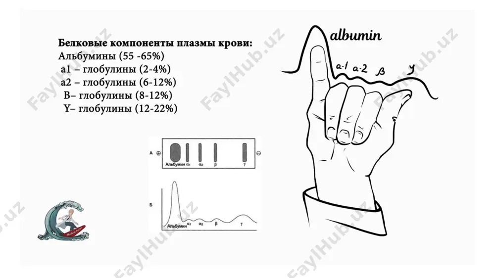 қон биокимёси - Page 4