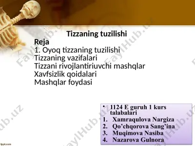 tizza bo'g'imi anatomiyasi — PPTX