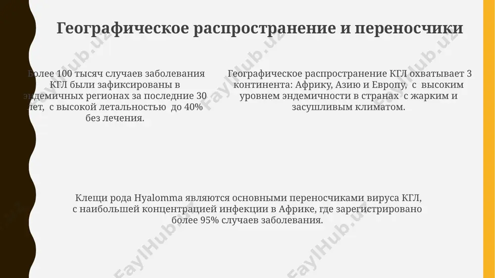 gemorragicheskaya lixoradka - Page 5