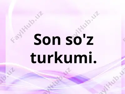 son so'z turkumi — PPTX