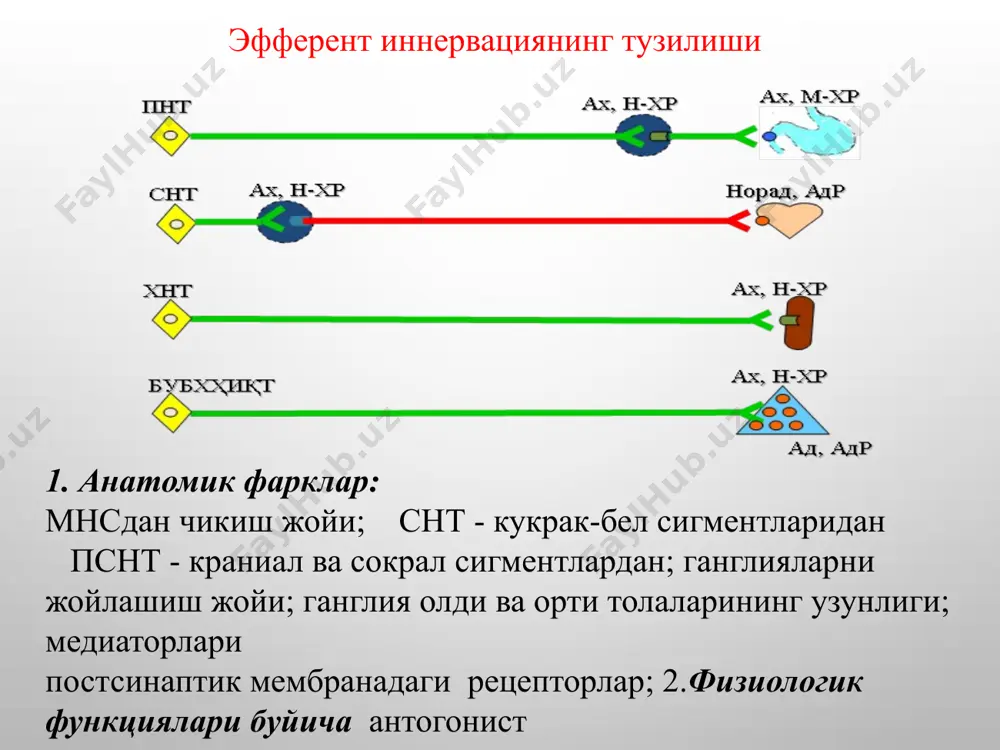 ндаги ўзгаришлар юзага келади: қорачиқ тораяди, фонтанов бўшлиғи кенгаяди, шлемов канали очилади, кўзнинг ичидан суюқлик оқиб чиқиш ошади, кўзнинг ички босими пасаяди, киприксимон мушак қисқаргани учун цинн боғлами бўшашади ва кўз гавхари қабариқ-шаклига киради. бунда аккомадация спазми вужудга келиб, яқин жисмларни аниқ кўради. сўлак-безларининг фаоллиги ошади, суюқ ва кўп сўлак ажралади. бронхларнинг секрецияси ортиб, силлиқ-мушаклари қисқаргани учун нафас олиш қийинлашади. брадикардия, қон босимини пасайиши ва юрак ўтказувчанлиги сусайиши кузатилади. меъда-ичак тракти безларининг секрецияси ва перистальтикаси ошади (диария), ўт пуфаги ва ўт йўллари қисқаради. пешоб пуфаги, бачадон ва тўғри ичак қисқаради, хоҳишидан ташқари пешоб ажралиши ва дефикация бўлиши мумкин. ах симпатик нерв ганглияларини ҳам қўзғатади, лекин бунда келиб чиқувчи ўзгаришлар м-холиномиметик таъсиридаги ўзгаришлар соясида қолади. кўндаланг тарғил мускулларида ах таъсирида қўзғалиш импульсларини ўтказилиши ортади. n-бета-карбамоилоксиэтил)-триметиламмоний хлорид, c6h15cln2o2 : карбахолин табл.-0,001 г; ампула -1 мл 0,01% ва 0,025% эритмаси. катталарга ичишга: 0,0005—0,001 г (0,5—1 мг), т/о ва м/о 0,0001—0,00025 г (0,1—0,25 мг) …