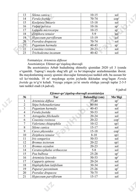 huvoqlar formatsiyasi tashkil etib, bu asosan bir xil koʻrinishda. 10 m2 maydonga ayrim joylarda ikkitadan urugʻlagan ferula foetida ga toʻgʻri keladi. voyaga yetgan ya’ni smola olishga yaroqli tuplar 2-3-5 tani tashkil etadi (4-jadval). 4-jadval efemer-qoʻziquloq-shuvoqli assotsiatsiya № tur balandligi (sm) moʻlligi 1 artemisia diffusa 37-40 sp3 2 stipa bohenaekeriana 80-84 sp3 3 peganium harmala 40-43 sol 4 ferula foetida 50-53 sol 5 astragalus filickaulis 20-24 sol 6 cousinia resinosa 20-22 cop1 7 valeriana chiapophila 10-12 sp1 8 silene canica 15-17 sol 9 carex physoides 15-18 cop1 10 ziziphora tenuior 8-10 sp1 11 iris songarica 50-53 sol 12 bromus tectorum 20-22 sp1 13 bromus oxyudon 20-23 sol 14 ceratocephalus orthucecus 5-8 sol 15 poa bulbosa 25-28 sp2 16 artemisia leucodes 50-53 sp2 17 capparis spinosa 20-24 sol 18 haplophylum latifolium 30-34 sol 19 papaver pavoninum 25-26 sp2 20 psoralae drupacea 70-75 sol 21 hypecoum parviflorum 15-17 sol formatsiya: artemisia turanica assotsiatsiya: …