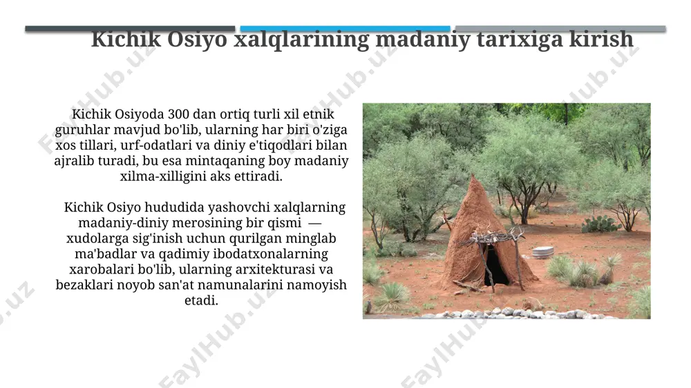 kichik osiya xalqlari madaniyati va diniy qarawlari tarixi - Page 5