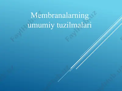 membranalarning umumiy tuzilmalari — PPTX