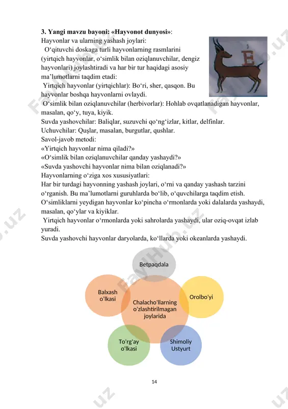 ayvonlar, o‘simlik bilan oziqlanuvchilar, dengiz hayvonlari) joylashtiradi va har bir tur haqidagi asosiy ma’lumotlarni taqdim etadi: yirtqich hayvonlar (yirtqichlar): bo‘ri, sher, qasqon. bu hayvonlar boshqa hayvonlarni ovlaydi. o‘simlik bilan oziqlanuvchilar (herbivorlar): hohlab ovqatlanadigan hayvonlar, masalan, qo‘y, tuya, kiyik. suvda yashovchilar: baliqlar, suzuvchi qo‘ng‘izlar, kitlar, delfinlar. uchuvchilar: quşlar, masalan, burgutlar, qushlar. savol-javob metodi: «yirtqich hayvonlar nima qiladi?» «o‘simlik bilan oziqlanuvchilar qanday yashaydi?» «suvda yashovchi hayvonlar nima bilan oziqlanadi?» hayvonlarning o‘ziga xos xususiyatlari: har bir turdagi hayvonning yashash joylari, o‘rni va qanday yashash tarzini o‘rganish. bu ma’lumotlarni guruhlarda bo‘lib, o‘quvchilarga taqdim etish. o‘simliklarni yeydigan hayvonlar ko‘pincha o‘rmonlarda yoki dalalarda yashaydi, masalan, qo‘ylar va kiyiklar. yirtqich hayvonlar o‘rmonlarda yoki sahrolarda yashaydi, ular oziq-ovqat izlab yuradi. suvda yashovchi hayvonlar daryolarda, ko‘llarda yoki okeanlarda yashaydi. balxash bo'yida tuyoqli hayvonlar: oqquyruq, jayron, yovvoyi qo'y, morxo'r, qulon va boshqalar yashaydi. keng bargli o'rmonlarda jayron, ayiq, to'ng'iz, bo'rsiq qushlardan janna hasharotxo'ri, kaptar, mayqut, oq boshli sa 'va, bulbul …