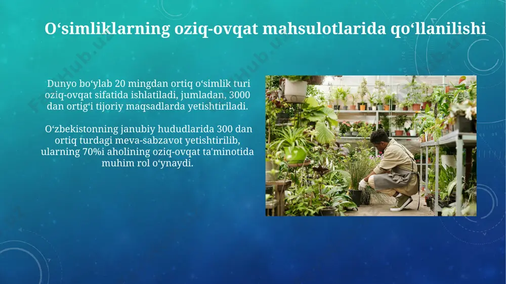 oʻsimliklarning inson va biosferada tutgan oʻrni va muhofazasi - Page 5