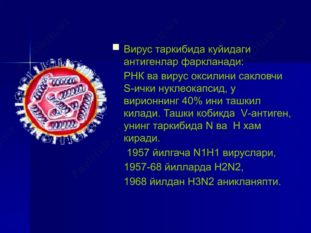 . касаллик бошида курук йутал кузатилади, круп синдроми пайдо булиши мумкин. ёругликка карай олмаслик (куз ачишиши), куздан еш келиши, куз томирлари инъекцияси ва конъюнктиванинг кизариши, ковокларнинг шишиши кузатилади. кизамикка хос симптом: 1. бельский-филатов-коплик доги. 2. юмшок ва каттик танглайда энантема. тошма тошиш даври тошма даври касалликнинг 4-5-кунидан бошланади. бемор терисига макуло-папулез тошма этапли тошади. тошма даврида тана харорати юкори 39-40ºсгача кутарилади, катарал симптомлар кучаяди. беморнинг умумий ахволи огирлашади, безовталаниш, алахлаш, уйкучанлик, бурундан кон кетиши кузатилиши мумкин. беморнинг ташки киефаси характерли – юзи керккан (ковоклари, лаблари, бурни шишган), кузлари кизарган, бурнидан куп микдорда шиллик ажралади. катталарда кизамикнинг кечиш хусусиятлари касаллик урта огир ва огир шаклларда кечади. кучли интоксикация билан кечади. йутал, конъюнктивит кучли ривожланган булади. тошма тошиш даври 4-5 кунгача узаяди, тошмалар йирик, куп микдорда кузатилади. асоратлар кам учрайди тошмалар тошиш даврининг 1-куни. юзда догли-папулёз тошмалар. куз склераси ва конъюнктиваси томирларининг кизариши. тошмалар тошиш даврининг 2-куни. тана ва юзда догли папулёз …