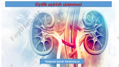 siydik ayirish sistemasi — PPTX
