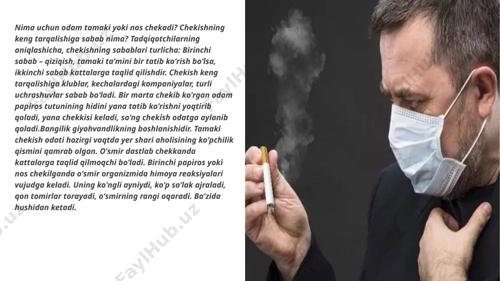 ydi. nikotin simpatik va parasimpatik nerv tizimlariga ta'sir etadi. bemorda dastlab yurak tez-tez qisqaradi, qon bosimi ortadi, periferik qon tomirlarida spazma, yurakning toj tomirlarida kengayish holatlari sodir bo'ladi. qonda nikotin moddasining ko'payishi tufayli bemorda infarkt kasalligi kelib chiqadi. tamaki tutuni bronxlarni keskin toraytirib, so'ng kengaytiradi. chekish tufayli odamning xotirasi susayadi, ozib ketadi. yosh o'smirlarning chekishi tufayli bola o'sish va rivojlanishdan orqada qoladi, urug' hujaylarida oʻzgarishlar sodir boʻladi, jinsiy ojizlik kelib chiqadi. tamaki chekishning sogʻliqqa zarari. tamaki chekish odam organizmiga ta'sir qiladimi? soʻzsiz ta'sir qiladi. odam papiros chekkanda tamaki tutuni bilan nafas oladi, oʻpkaga kislorod o'rniga so, (karbonat angidrid) gazi borib, qonga o'tadi, organizmdagi moddalar almashinuvi buziladi, bunday holat, o'z navbatida, organizm kislorod tanqisligiga sabab bo'ladi. tamaki tarkibidagi ammiak namlik ishtirokida oʻpka alveolalari (hujayralarida) ishqor - nashatir spirtiga aylanadi. bu ishqor oʻpkaning shilliq qavatini ta'sirlab, chekuvchida bronxit kasalligini keltirib chiqaradi. buning oqibatida o'pkaning turli yuqumli kasalliklarga chidamliligi kamayadi. olimlar ma'lumoticha, sil …
