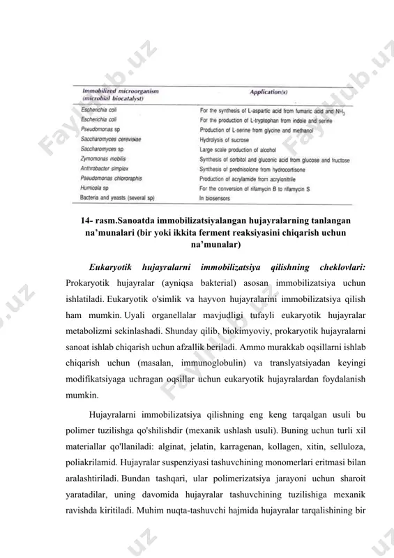imlik va hayvon hujayralarini immobilizatsiya qilish ham mumkin. uyali organellalar mavjudligi tufayli eukaryotik hujayralar metabolizmi sekinlashadi. shunday qilib, biokimyoviy, prokaryotik hujayralarni sanoat ishlab chiqarish uchun afzallik beriladi. ammo murakkab oqsillarni ishlab chiqarish uchun (masalan, immunoglobulin) va translyatsiyadan keyingi modifikatsiyaga uchragan oqsillar uchun eukaryotik hujayralardan foydalanish mumkin. hujayralarni immobilizatsiya qilishning eng keng tarqalgan usuli bu polimer tuzilishga qo'shilishdir (mexanik ushlash usuli). buning uchun turli xil materiallar qo'llaniladi: alginat, jelatin, karragenan, kollagen, xitin, selluloza, poliakrilamid. hujayralar suspenziyasi tashuvchining monomerlari eritmasi bilan aralashtiriladi. bundan tashqari, ular polimerizatsiya jarayoni uchun sharoit yaratadilar, uning davomida hujayralar tashuvchining tuzilishiga mexanik ravishda kiritiladi. muhim nuqta-tashuvchi hajmida hujayralar tarqalishining bir xilligi va olingan agregatlarning bir xilligi. qo'shish texnikasi ishlatiladigan materialning tabiati va xususiyatlariga bog'liq bo'lib, hosil bo'lgan biosistemalar granulalar, tolalar, polimer to'rlar, plyonkalar va boshqalar shaklida bo'ladi. amalda, hujayralarni immobilizatsiya qilish uchun poliakrilamid geli (paag) keng qo'llaniladi, hujayralar monomer (n, n 1 - metilendiakrilamid) eritmasiga kiritiladi. keyinchalik, gel …