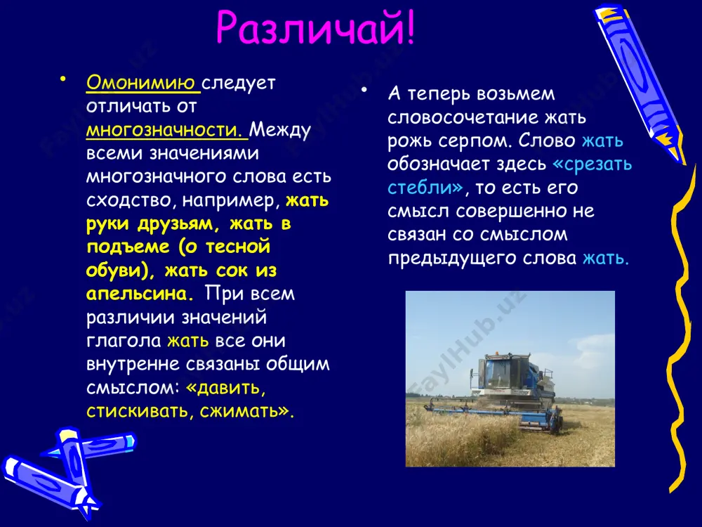 4. паронимы. 10 - sinf - Page 5