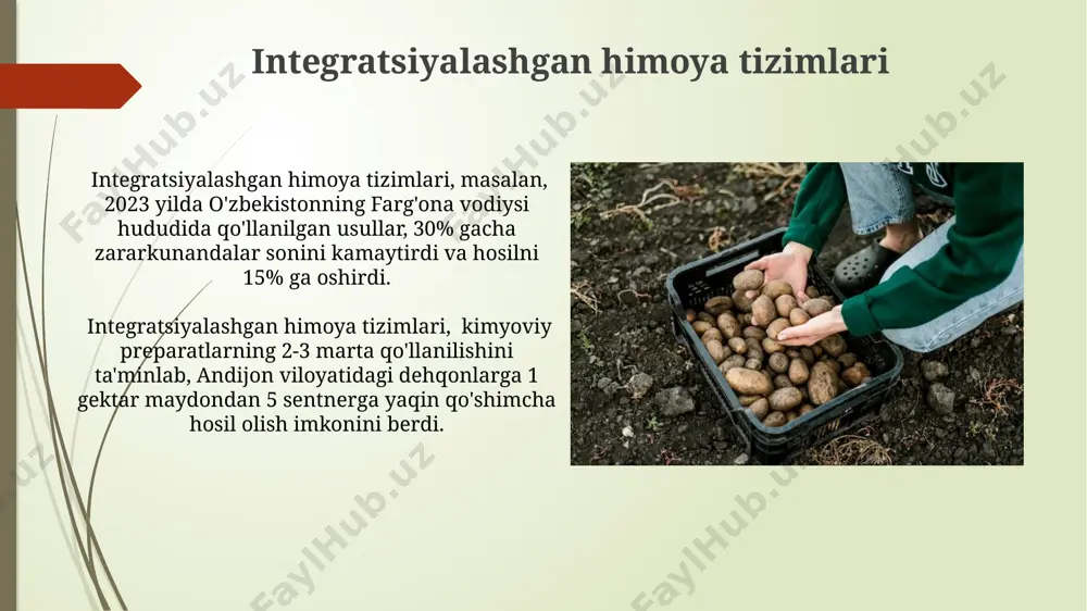 kartoshkani zang kanadan himoya qilishda kimyoviy usul - Page 4