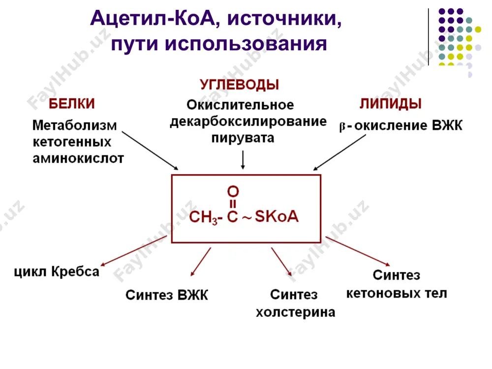 е питание, в особенности углеводами; эндокринные заболевания; наследственная патология 4. нарушение обмена липопротеинов наследственные заболевания, приводящие к гиперлипопротеинемии или гиполипопротеинемии гиперлипопротеинемии: i тип. гиперхиломикронемия. характеризуется медленным выведением хм, которые постепенно накапливаются в крови. резко увеличивается в крови концентрация триглицеридов. ii тип. гипер-β-липопротеинемия. iiа – характеризуется увеличением в крови преимущественно лпнп iiб – характеризуется одновременным увеличением в крови лпнп и лпонп. при этом типе значительно возрастает концентрация холестерина в крови, что увеличивает вероятность развития атеросклероза iii тип. дис-β-липопротеинемия. характеризуется появлением в крови липопротеинов с необычно высоким содержанием холестерина. такие липопротеины накапливаются в крови вследствие нарушения превращения лпонп в лпнп iv тип. гиперпре- β-липопротеинемия. характеризуется значительным ростом лпонп при нормальном содержании в крови лпнп. при этом уровень холестерина повышен незначительно. v тип. гиперпре- β-липопротеинемия и хиломикронемия. характеризуется одновременным ростом в крови содержания лпонп и хм болезни накопления липидов (липидозы) сфинголипидозы – в тканях, в особенности в нервной, накапливаются сфинголипиды. при этом нарушен …