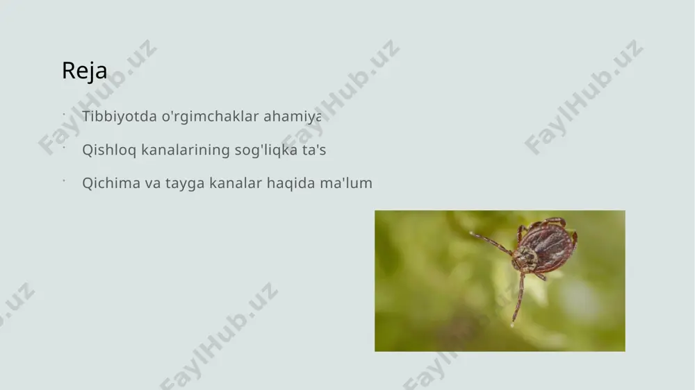 2 tayga kanalarining ta'siri tayga kanalari, ko'pincha qishloq joylarida uchraydi, va ular ham kasalliklar, jumladan, qizilo'ngach va babesioz tarqatishda muhim rol o'ynaydi. 3 kasalliklarni oldini olish qishloq va tayga kanalaridan kelib chiqadigan xavflardan saqlanish uchun, profilaktika choralarini, masalan, mos kiyim va insektitsid foydalanishni amalga oshirish zarur. qishloq kanalarining tarqalishi va ularning sog'liq uchun xavflari. 01 qishloq kanalarining tarqalishi qishloq kanalarining tarqalishi asosan qishloq joylarida o'simliklar va hayvonlar bilan bog'liq. ular ko'proq o'tloqlarda va bushliklarda uchraydi. 02 sog'liq uchun xavflar qishloq kanalarining ko'p tarqalishi, lyme kasalligi va boshqa infektsiyalarning yuqtirish xavfini oshiradi. ular odamlar va hayvonlar uchun jiddiy xavf tug'diradi. 03 kasalliklar tarqalishi qishloq kanalarida mavjud bo'lgan mikroorganizmlar, masalan, borrelia burgdorferi, odamlar va hayvonlar orasida kasalliklarni tez tarqatish imkonini beradi. 04 oldini olish choralar qishloq kanalarining tarqalishini kamaytirish uchun, profilaktik choralar, masalan, to'g'ri kiyinish va pestisidlardan foydalanish muhim ahamiyatga ega. qishloq kanalarining kasalliklar tarqatishdagi roli. 01 qishloq kanalarining tarqalishi qishloq kanalari, …
