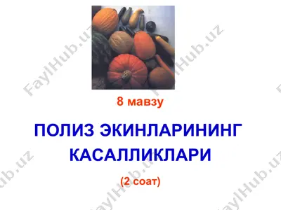 poliz ekinlari — PPT