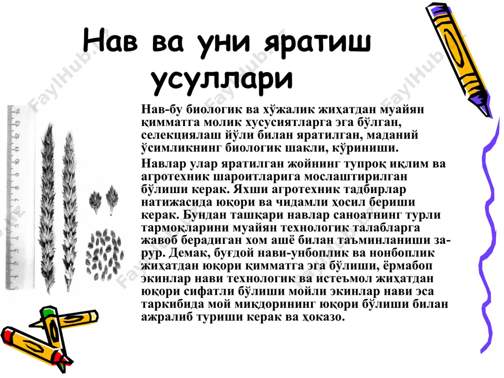 экинлар тупроқ унумдорлигига қараб текисланган, ҳар бир ўсимликнинг бир зайлда озиқланиши ҳисобга олинган. бу ашёдан қўйилган селекцион мақсадга энг муво­фиклари ажратиб олинади. сараланган ўсимлик шу жойда янчила­ди. одатда, ялпи саралаш қатор йиллар давомида такрорланади. ялпи саралаш бир қатор камчиликларга эга. селекциянинг бу усулини қўллаб доннинг бир текис бўлишига эришиш жуда қийин (айниқса, физиологик белгиларига кўра). ялпи саралаш усулининг жид­дий камчиликларидан бири шўқи, сараланган ўсимликларнинг ирсий қийматини белгилаш имконияти йўқ, чунки алоҳида сараланган ўсимликлар уруғи ялпи саралашда, одатда ўз хусусиятларини йуқотади. дурагайлаш бу усул асосан и.в. мичуриннинг олиб борган иш­лари натижасида кенг таркалиб кетди. и.в. мичурин чатиштирувчи жуфтларни танлашнинг асосий тамойилларини, дурагай ўсимликларни устириб тизимини, дурагайлашнинг илмий назариясини ишлаб чикди. бир биридан ирсий хусусиятлари ва белгилари билан фарқ қилувчи икки хил шаклни чатиштириш натижасида ҳосил қилинган ав­лод дурагай деб юритилади. бир ўсимлик чангини (турли нав ёки турларни) бошқа бир ўсимлик уруғчиси тумшугига келтириш йўли билан уруғлантириш натижасида дурагайлаш амалга оширилади. олинган …