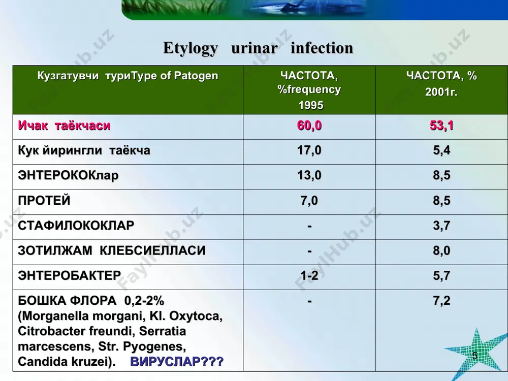kroflora topish uchun siydikni ekish urineculture abt gacha, xar24-48s abt, kursi tugagach siydik antibiotikogramma 1 marta bioximicheskoe issledovanie mochi odnokratno * pielonefrit kasalligida bakteriuriyaning tashxisiy mezonlari yukoribakteriuriya – bakteriuriya 100 ming mikrob tanacha. 1 ml siydikda ,tabiiy siyishda urta okim yoki kateter bilan olinganda . 1 yosh bolalarda antibiotik olmagandagi siydik tekshiruvida erkin siyish jarayonida siydik tekshirilganda, 1 ml siydikda 50 ming mkrob tanasi, e. coli, 10 ming. mikrob tanasi proteus vulgaris, pseudomonas aeruginosae sipmtomsiz (asimptom) bakteriuriya –yukori bakteriuriya klinik simptomsiz yalliglanish jarayoni. * diagnostik algoritm 1.zaruriy tekshirish usullari diagnostik tadbirlar soni zimnitskiy, va reberga sinamasi 1 oyda 1 marta. diureza nazorati control diyresis xar kuni siyish ritmi yoki ixtiyorsiz siyish xar kuni a / b ulchash xar kuni siydik organlari utt usi 1 marta miktsion tsistografiya utkazilmaydi ekskretor urografiya utkazilmaydi * diagnostik al goritm 2. kushimcha teshshirish usullari beta2 mikroglobulin bilan siydik ekskretsiyasi siydik osmolyarligi siydik fermentlari xlorli ammoniy …