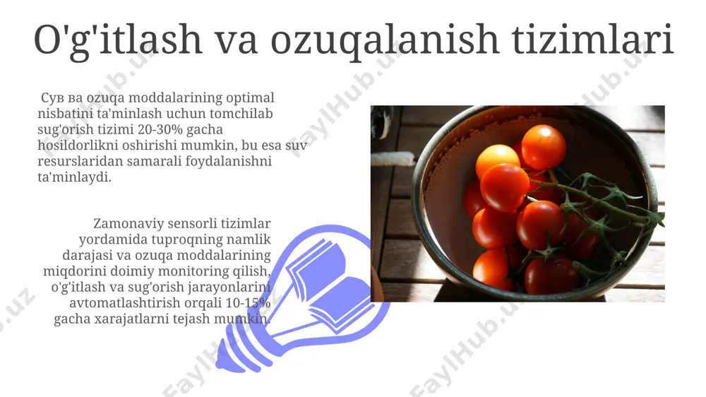 pomidor yetishtirish uchun agrotexnika ishlab chiqish - Page 3