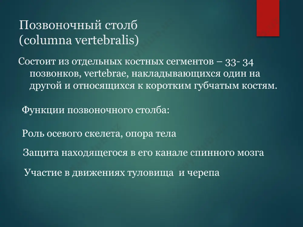 остистые связки (ligamenta interspinalia) 2) надостистая связка (ligamentum supraspinale), по вершинам всех остистых отростков. соединения отростков: odam skeleti nechta alohida suyaklardan iborat? 206 208 210 212 odam skeleti suyaklarining nechtasi juft suyak? 174 tasi juft 172 tasi juft 170 tasi juft 176 tasi juft odam skeleti suyaklarining nechtasi toq suyak? 32 tasi 36 tasi 38 tasi 32 tasi odam skeletining og’irligi o’rtacha necha kg? 5–8 kg 8–10 kg 6–8 kg 5–6 kg odam skeletining og’irligi gavda og’irligining necha foizini tashkil etadi? 8–10 foizini tashkil etadi 10–12 foizini tashkil etadi 14–16 foizini tashkil etadi 16–18 foizini tashkil etadi testlar dum suyagi nechta umurtqadan iborat? 4–3 ta 6-7 ta 7–8 ta 4-5 ta ko’krak umurtqalari nechta? 12 ta 11 ta 10 ta 13 ta bel umurtqalari nechta? 6 ta 5 ta 7 ta 8 ta bo’yin umurtqasi nechta? 7 ta 5 ta 9 ta 10 ta umurtqa pog’onasi nechta umurtqa suyaklaridan iborat? …