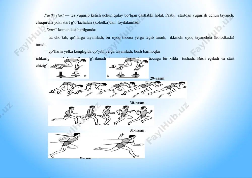 chizig‘ini keskin kesib o‘tadi (32-rasm). o‘rta va uzoq masofaga yugurish o‘rta va uzoq masofaga (kross) yugurishda (500—3000 m), odatda, yuqori start qo‘llanadi. hakamning ishorasi bo‘yicha yuguruvchilar start chizig‘idan 3 m narida yig‘iladilar. „start!“ buyrug‘i bo‘yicha ular start chizig‘iga yaqin keladilar va yugurishni boshlash uchun eng qulay holatni egallaydilar. bunday paytda yuguruvchi, start chizig‘iga kuchli oyog‘ini qo‘yadi, boshqasi orqada qoladi. oldinga qo‘yilgan oyoqlar bukilib, qo‘llar oldinga chiqariladi. ayrim yuguruvchilar qo‘lda yerga tayanadilar (start chizig‘igacha). o‘rta masofaga yugurishda „diqqat!“ buyrug‘i berilmaydi. „marsh!“ buyrug‘i berilgach, yuguruvchilar oldinga intiladilar. yugurishning boshlanishi sprintdagi kabi, faqat kamroq zo‘r berish bilan bajariladi. yugurish boshlangach, yuguruvchilar gavdani tezda to‘g‘rilab, masofa bo‘ylab erkin yugurishga o‘tadilar. yugurish vaqtida gavda ozgina oldinga egilib, bosh to‘g‘ri tutiladi, yelka kamari va qo‘l harakatlari yengil bajariladi. barmoqlar bo‘sh qo‘yiladi. qadam uzunligi va yugurish tezligi masofa ortib borgan sari kamayadi. o‘rta masofaga yuguruvchilarda qadam uzunligi tana uzunligidan 15—20 sm ga oshsa, uzoq masofaga yuguruvchilarda—10—15 sm …