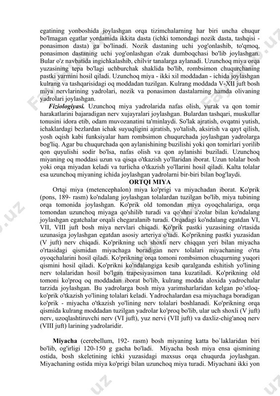 tashqi tanalar rivojlanadi. 5. oxirgi miya pufagidan bosh miya yarim shari va uning qoplamasi taraqqiy etadi. uzunchoq miya uzunchoq miya (medulla oblangata, 191-rasm) uzunligi 25-30 mm dagi piyoz shaklida bo'lib, ensa suyagining ichidagi nishabda joylashgan. uning orqa chegarasi ensaning katta teshigi ro'parasida bo'lib, orqa miyaga o'tib ketadi. old tomondan miya ko'prigiga qo'shilib turadi. uzunchoq miya tuzilishi jihatidan orqa miya tuzilishiga o'xshaydi. uni old va orqa tomonida joylashgan o'rta egat ikkita pallaga ajratadi. har ikki palla o'z navbatida orqa tomonidan o'tgan yonbosh egatlar orqali tizimchalarga ajratilgan. oldingi tizimchalardan harakatlantiruvchi nervlar (piramida yo'llari) - piramidada joylashgan. orqa qismidan esa sezuvchi nerv tolalari o'tadi. uzunchoq miya bilan orqa miya chegarasida piramida yo'li kesishmasi ko'rinadi. piramidalarning ko'prikka yaqin bo'lagi yonginasida oval shaklidagi tepalik - oliva bor. oliva bilan piramida o'rtasidan xii juft (til osti) nervlarning ildizchalari chiqadi. olivaning orqa tomonidagi yonbosh egatdan ix juft (til-yutqin), x juft (adashgan) va xi juft (qo'shimcha) nerv ildizlari …