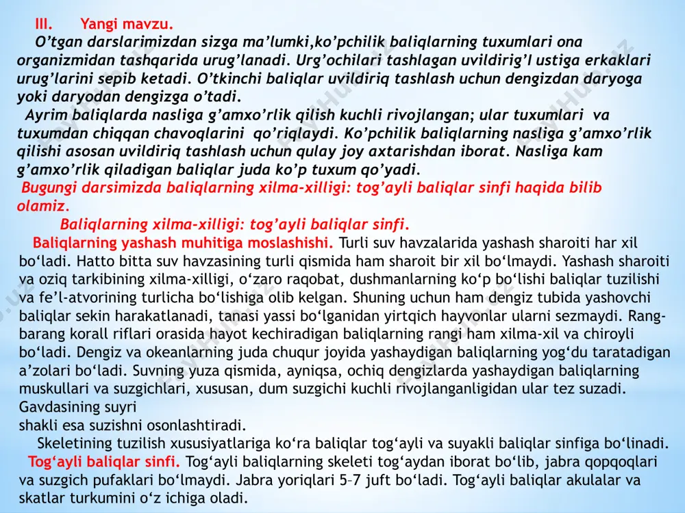 dars ishlanmasi "baliqlarning xilma-xilligi: tog’ayli baliqlar sinfi" - Page 5