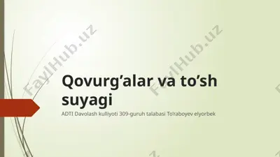 qovurg’alar — PPTX