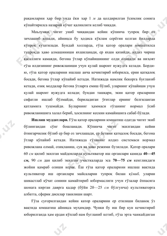ердан кўплаб нам бугланиб кетиб, ғўза эрта чанкайдиган бўлади, ўсимлик ердаги озиқ моддалардан унумли фойдалана олмайди ва айникса ер котиб қолиб, культивация қилишда катта-катта кесак кўчади, бу эса ғўза илдизининг шикастланишига ва кўчатлар сийраклашиб қолиб ҳосилнинг камайишига олиб келади. ёш ғўзалар суғорилгандан кейин 3—4 кунда, у ўсиб қаторларни соялаган даврда эса 6—8 кунда ер культивацияга етилади. ғўза қатор оралари культивация қилингандан сўнг қаторларда ўсиб чиққан бегона ўтлар илдизи билан қўлда юлиб олиниши зарур. бегона ўтларни кўлда юлиб олиш қийин бўлган ёки оғир тупроқли ерларда кетмон чопиғи ўтказиш ҳам яхши самара беради. культивация ҳар галги суғоришдан сўнг пешма-пеш ўтказилади ва у одатда июлнинг охири, августнинг бошларида тугалланади. лекин ғўзаси ўсишдан орқада қолган, шунингдек, нотекис ўсган пайкалларни 10-15 августгача культивация килиш мумкин. охирги культивация қилишда бир йўла суғориш эгатлари ҳам олинади. ғўза қатор ораларини ишлаш кенглиги ва чуқурлиги. ғўза катор оралариии ишлаш вақтида ғўза тупларига шикаст етказмаган ҳолда қатор оралари кенгроқ ишланса, …