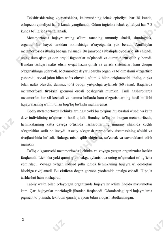 . odam ingichka ichak epiteliysi har 7-8 kunda to’lig’icha yangilanadi. metamorfozda hujayralarning o’limi tananing umumiy shakli, shuningdek, organlar bir hayot tarzidan ikkinchisiga o’tayotganda yuz beradi. amfibiylar metamorfozida itbaliq baqaga aylanadi. bu jarayonda itbaliqda oyoqlar o’sib chiqadi, uning dum qismiga qon orqali fagotsitlar to’planadi va dumni hazm qilib yuboradi. bundan tashqari nafas olish, ovqat hazm qilish va ayrish sistemalari ham chuqur o’zgarishlarga uchraydi. metamorfoz deyarli barcha organ va to’qimalarni o’zgartirib yuboradi. avval jabra bilan nafas oluvchi, o’simlik bilan oziqlanuvchi itbaliq, o’pka bilan nafas oluvchi, dumsiz, to’rt oyoqli yirtqichga aylanadi (60 rasm). baqalarda metamorfozni tiroksin gormoni orqali boshqarish mumkin. turli hasharotlarda metamorfoz har-xil kechadi va hamma hollarda ham o’zgarishlarning hosil bo’lishi hujayralarning o’limi bilan bog’liq bo’lishi muhim emas. oddiy metamorfozda lichinkalarning u yoki bu to’qima hujayralari o’sadi va katta davr individining to’qimasini hosil qiladi. bunday, to’liq bo’lmagan metamorfozda, lichinkalarning katta davrga o’tishida hasharotlarning umumiy shaklida kuchli o’zgarishlar sodir bo’lmaydi. asosiy o’zgarish reproduktiv …