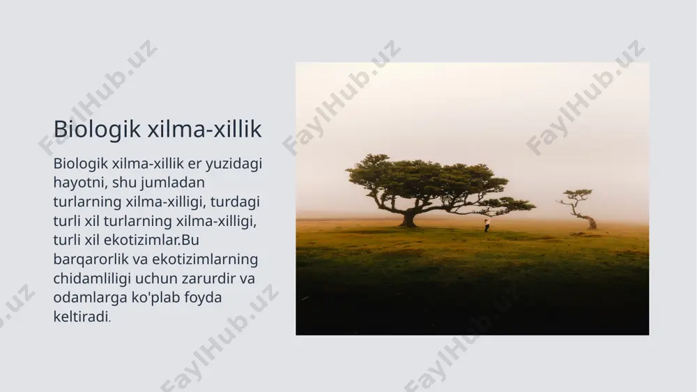ekologiya va atrof muhit - Page 4
