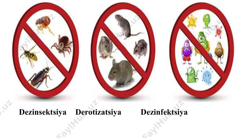li kasalliklarga qarshi kurash rejasiga binoan kasalliklarni oldini olish maqsadida emlanadi. fermada vaqti-vaqti bilan dezinfektsiya va dezinsektsiya (hashoratlarga qarshi kurash) ishlari o‘tkaziladi. pashshalarga qarshi kurash profilaktik va qirish maqsadlarida o‘tkaziladi. fermer xo‘jaligi mol va parrandalarini sog‘ligini ta’minlash maqsadida turli yuqumli va gijja kasalliklarini oldini olish maqsadida barcha ferma mutaxassisi va ishchilar grafik asosida yiliga 2 marta tibbiy ko‘rikdan o‘tkaziladi, kasal yoki kasallikga gumon qilingan xodimlar ishga qo‘yilmaydi nazorat savollar nima uchun chorvachilik fermalarida veterinariya-sanitariya ishlari olib boriladi? dezinfektsiya haqida ma’lumot bering? dezinsektsiya haqida ma’lumot bering? derotizatsiya haqida ma’lumot bering? dezinfektsiyalashda qanday mashina va jihozlardan foydalaniladi? derotizatsiyani o‘tkazishda qanday kimyoviy priparatlardan foydalaniladi? эътиборингиз учун раҳмат! image1.jpeg image2.jpeg image3.jpeg image4.jpg image5.jpg image6.jpg image7.jpg image8.jpg image9.jpg image10.jpg image11.jpg image12.jpeg /docprops/thumbnail.jpeg