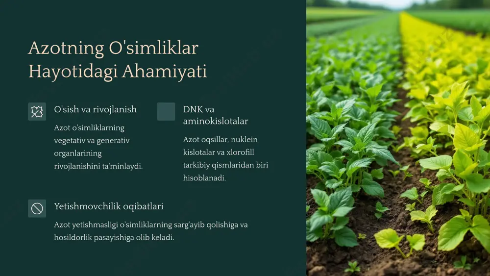 radi energiya sarfi 16 atp molekulasi sarflanadi o'simlikka uzatish nh₃ → aminokislotalarga aylanadi 6 qishloq xo'jaligida qo'llanilishi: bioo'g'itlar ishlab chiqarish sof bakteriya kulturalari laboratoriyalarda ko'paytiriladi. urug'larni aralashtirish bakteriyalar urug'larga aralashtirilib, ekishdan oldin ishlov beriladi. tuproqqa kiritish bakteriyalar suyuq yoki quruq holdagi preparatlar orqali tuproqqa kiritiladi. natija ekinlar organik usulda azotli oziqlantiriladi. 7 qishloq xo'jaligida qo'llanilishi: hosildorlikni oshirish ekin turi bakteriya hosildorlik oshishi soya rhizobium 15-25% bug'doy azospirillum 10-15% makkajo'xori azotobacter 10-20% beda sinorhizobium 20-30% ilmiy tadqiqotlar ko'rsatishicha, bakterial preparatlar qo'llanilganda, kimyoviy o'g'itlar miqdorini 25-35% ga kamaytirish mumkin. 8 azot o'zlashtiruvchi bakteriyalarning afzalliklari va kamchiliklari afzalliklar ekologik toza kimyoviy o'g'itlar sarfini kamaytiradi tuproq unumdorligini oshiradi mahsulot sifatini yaxshilaydi kamchiliklar ta'sir sekinroq atrof-muhitga bog'liqlik saqlash qiyinchiliklari barcha ekinlarda bir xil samara bermasligi iqtisodiy foyda kimyoviy o'g'itlar xarajati kamayadi ekologik mahsulot narxi yuqoriroq tuproq unumdorligi uzoq muddat saqlanadi 9 xulosa bugungi ahamiyati azot o'zlashtiruvchi bakteriyalar barqaror qishloq xo'jaligining muhim qismi hisoblanadi. ular tuproq …