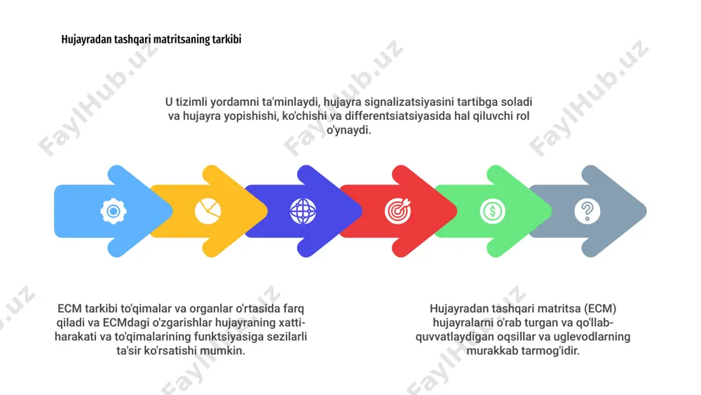 hujayra va hujayradan tashqari matriks orasidagi munosabatlar - Page 4