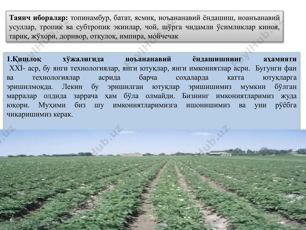 , валериана, горчица ўсимлиги, заъфарон, коврак, топинамбур, ширинмия тритикале сингари ўсимликлар киритилган. қўлланмадан ноаъанавий қишлоқ хўжалиги экинларини етиштиришни ташкил этиш, агротехник тадбирларни амалга ошириш жараёнларини илм-фан ва инновацион ёндашув асосида ташкил этиш учун фойдаланишлари мумкин. республикамизда сўнги йилларда халқ хўжалигининг барча соҳаларида бир қатор ислохатлар амалга оширилди, туб ўзгаришларга ва ютуқларга эришилди. биргина дончилик соҳасида дон ҳосилдорлиги 17 ц/га дан 55 ц/га, ялпи ҳосил 900 минг тоннадан 7.5-8 млн. тоннага етди. мевачилик, сабзавотчилик ва бошқа соҳаларида ҳам катта ютуқларга эришилди. бироқ, қишлоқ хўжалигидаги бу ютуқлар аҳолининг озиқ-овқат маҳсулотларига ўсиб бораётган эҳтиёжини тўла қондира олмайди. кечаги ютуқлар бугун одатдаги ҳолат, эртаги кун эса бизни янги мақсадлар, режа ва марралар кутиб турмоқда. бу марраларни залб этиш учун эса кечаги кунги иш услуби мутлоқо тўғри келмайди. чунки кечаги кунги иш услуби, деҳқончилик маданияти ва теҳнологиялар кечаги кунги режаларни бажариш учун тўғри келади, бугунги кунда эса биз ўзгача ёндашиш ва ўзгача деҳкончилик услубини кўллашимиз …
