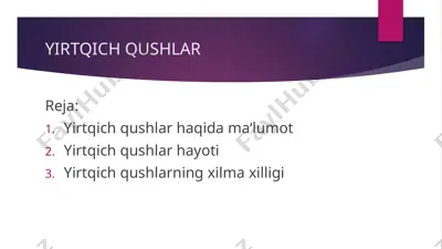 yirtqich qushlar — PPTX