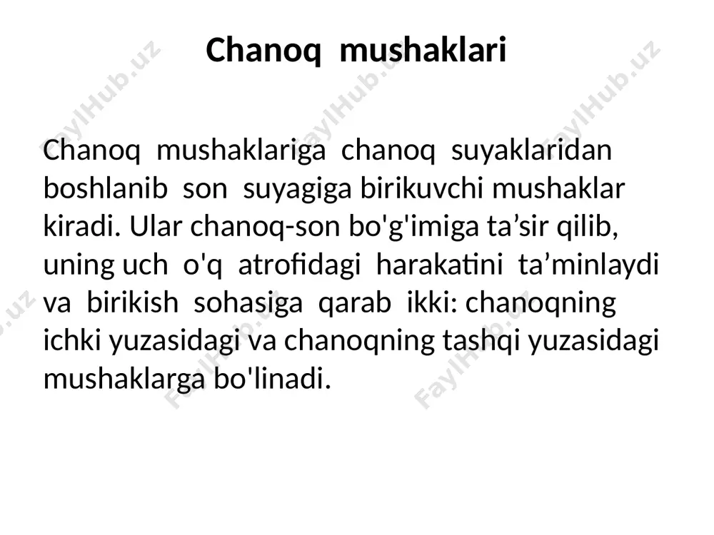 chanoq-sonmushaklari - Page 3