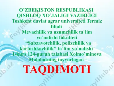 "so'zlarning ma'noliq ismlari" — PPTX