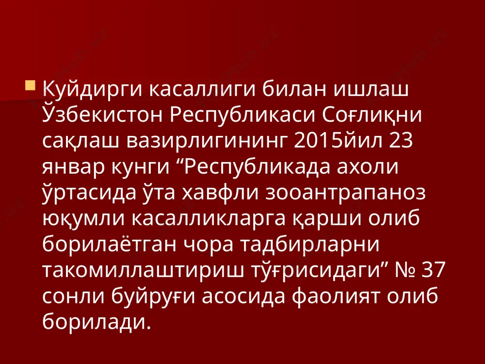 бири – трансмиссив йўл. пашша ва чивинларнинг чақиши нтижасида. касбий касаллик: кассоблар чупонлар ва унинг оила аъзолари фаолияти тери ва жун билан боглик булган касб эгалари ветеринария хизмати ходимлари юкиш йулига караб клиник шакллар: трансмиссив йул билан юкканда – тери яра шакли; хаво-томчи йули – упка шакли; алиментар йул – ангиноз шакли; мулокот йули – тери (яра) шакли юзага келади. куйдирги одамдан одамга юқадими? куйдирги касаллиги хайвонлардан хайвонларга ва хайвонлардан одамга юқади, бироқ касалликни одамдан одамга, одамдан хайвонларга юқиши исботланмаган, лекин айрим адабиётларда куйдирги касаллигини одамдан-одамга юққанлиги туғрисидаги маълумотлар учрайди. н.к.розенберг (1938) йилда куйдирги билан оғриган эркакдан ўпишиш натижасида касаллик рафиқасига юққанлигини кузатганини ёзган. источник инфекции являются зараженные травоядные; почва может быть резервуаром прямой контакт и укусы кровососущих насекомых юқуш йўллари кожная (язвенная) форма также контактный и алиментарный орофарингеальная и кишечная (абдоминальная) формы ингаляционный (аэрогенный) пневмоническая/ медиастинальная форма 18 источником сибирской язвы являются зараженными травоядные. пути заражения могут быть контактный …
