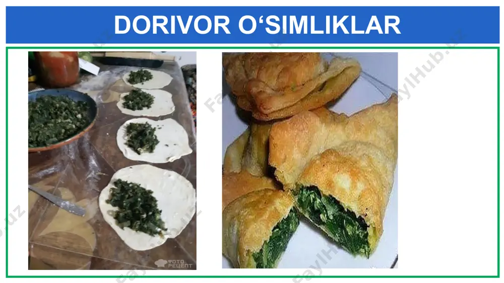 o‘simliklar bargiga …….. yashil rang beradi. - Page 5