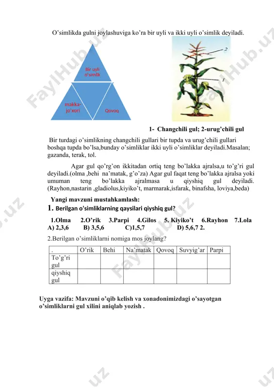 gullarning xilma-xilligi - Page 3