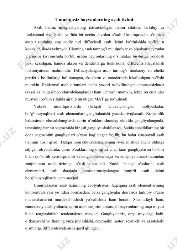 ida tarkibiy o’zaro munosabatlarini murakkablashish yo’nalishida ham boradi. shu tufayli ham, zamonaviy adabiyotlarda, qorin asab zanjirini umurtqali hayvonlarning orqa miyasi bilan tenglashtirish tendentsiyasi mavjud. gangliyalarda, orqa miyadagi kabi, o’tkazuvchi yo’llarning yuza joylashishi, neyropilni motor, sezuvchi va assotsiativ qismlarga differentsiyalanishi qayd qilingan. umurtqasizlarda ganglionizatsiya jarayoni tarqoq-tugun tipidagi asab tizimini shakllanishiga olib kelishi mumkin. bu xol mollyuskalarda uchraydi. bosh oyoqli mollyuskalarda va xasharotlarda miyaning progressiv rivojlanishi, xulq-atvorni boshqarishning buyruk tizimini o’ziga xos ierarxiyasini paydo bo’lishi uchun zamin yaratadi. hasharotlarning segmentar gangliyalarida va mollyuskalar miyasining xalqumosti massasida integratsiyaning tuban darajasi, elementar harakat aktlarini koordinatsiyasi va avtonom faoliyati uchun xizmat qiladi. shu bilan birga miya, keyingi integratsiyaning ancha yuqori darajasini o’zida namoyon qiladiki, bu erda, biologik muhim axborotni analizatorlararo sintez va baholashi amalga oshirilishi mumkin. ushbu jarayonlar asosida, segmentar markazlar neyronlarini ishga tushirish variantlarini ta’minlovchi, pastga tushuvchi buyruqlar shakllanadi. filogenetik rivojlanishning boshlang’ich davrlarida evolyutsion daraxtning ikkinchi yo’g’on shohi shakllanib, u ignaterililar va xordalilarning paydo …