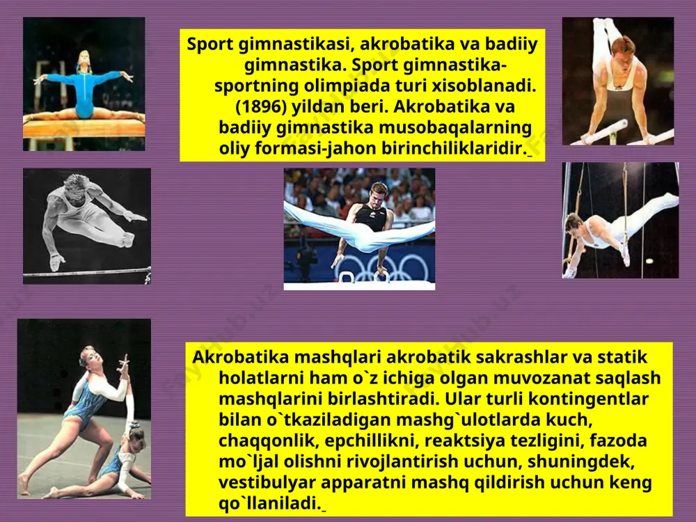 gimnastika - Page 2
