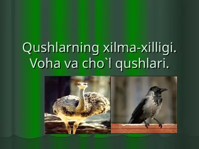 qushlarning xilma-xilligi. voha va cho`l qushlari — PPT