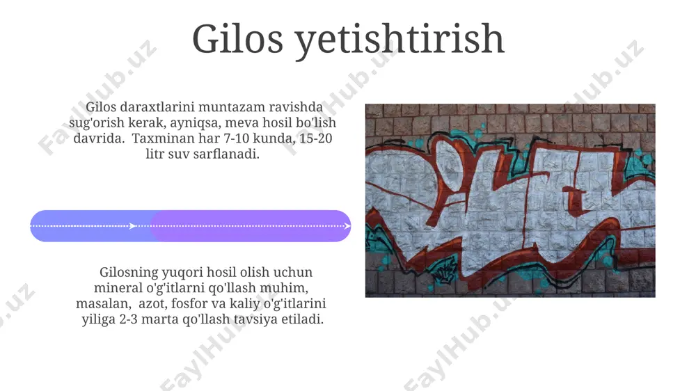 gilos - Page 4