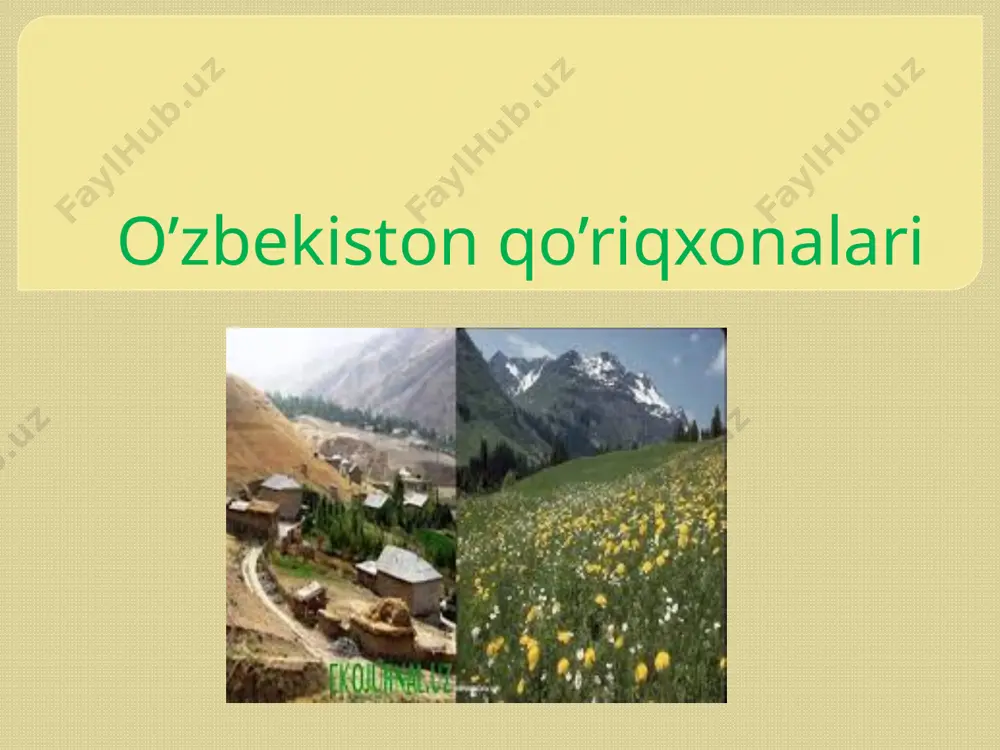 rota nurota tog’-yong’oq qo’riqxonasi jizzax viloyatining forish tumanida nurota tog’larining shimoliy yonbag’irlarida 1975-yili noyob hayvon turi seversev qo’ylarining populyatsiyasini saqlash va yong’oq turlarini himoya qilish maqsadida tashkil etilgan. bu yerda 900 ga yaqin o’simlik turlari uchraydi, ularning ayrimlari endemic: viktoriya, korolkov, velikiy lola turlari, yelena chinniguli, suvorov piyozi, poyali piyoz, seversev ungeriyasi, daraxtsimon o’simliklar asosan soylar bo’yida uchraydi. bu yerda asosiy o’rmon hosil qiluvchi turlarga yong’oq, yovvoyi o’rik, olxo’ri, olma, tut, tol teraklar, qayrag’och toshloq yonbag’irlarda xandon pista va buxoro bodomi o’sadi. maydoni 17752 km2. hayvonot olami ham juda boy. bu yerda karakanga tulkisi, cho’l bo’risi, korsak, tosh suvsar, jayra, tolay quyoni va to’g’iz keng tarqalgan. cho’l hayvonlaridan bu qo’riqxonada uzunoyoq kirpi, qizil dumli, katta qumsichqonlar va seversov tovushkonini umumkin. qizil kitobga kiritilgan seversov qo’yi, berkut va boshqalar bu qo’riqxonada qo’riqlanadi. qizilsuv tog’-archa davlat qo’riqxonasi qizilsuv tog’-archa davlat qo’riqxonasi 1975-yilda qashqadaryo viloyati yakkabog’ tumanida tashkil qilingan. umumiy matdoni 30094 ga, …