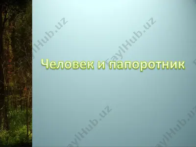 папоротник и клады — PPT
