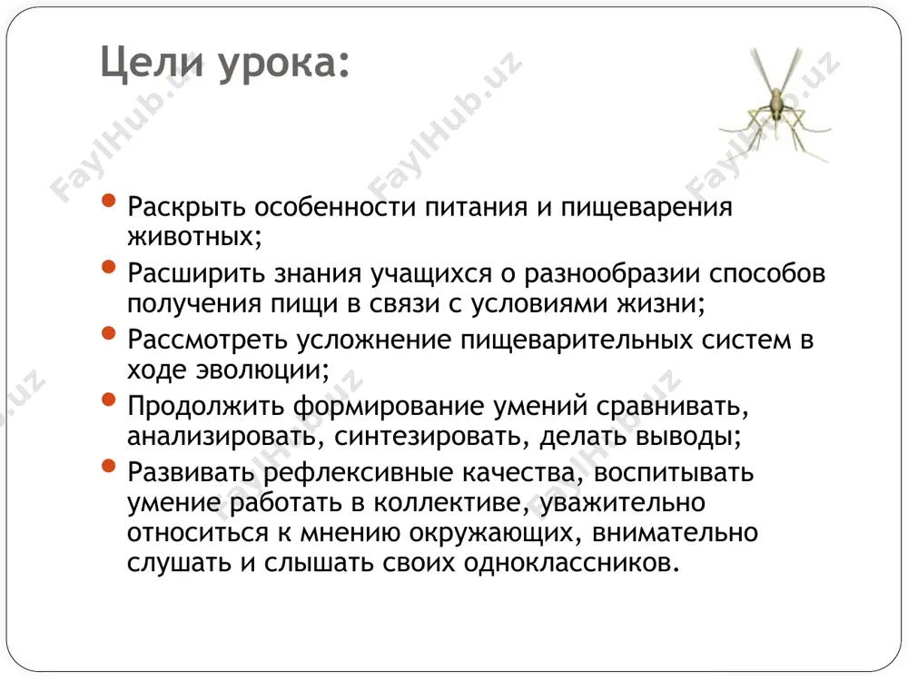 я — внутриклеточный. так питаются все простейшие. амёба обтекает пищу ложноножками. получается пищеварительная вакуоль, в которую поступают пищеварительные ферменты. затем непереваренное выбрасывается наружу. питание инфузории. реснички инфузории создают ток воды. с помощью которого пищевые частички подгоняются к ротовой впадине. пищеварение внутриклеточное в пищеварительной вакуоли. питание гидры кишечнополостное. переваривание происходит в кишечной полости (внеклеточное пищеварение). пищеварительные и железистые клетки находятся в энтодерме ( в клетках энтодермы происходит внутриклеточное переваривание). органы пищеварения кольчатых червей. у кольчатых червей пищеварительная трубка имеет три отдела. в переднем её отделе различают глотку, пищевод, зоб, желудок. пищеварение моллюсков. у членистоногих и моллюсков появляется печень- пищеварительная железа, способствующая перевариванию пищи. пищеварительная система хордовых. удлинение и усложнение отделов пищеварения, усложнение пищеварительных желез, появление различных зубов, приспособления к различной пище. схема пищеварительной системы хордовых: рот – глотка – пищевод – желудок – тонкая и толстая кишка с анальным отверстием, открывающимся либо наружу, либо в клоаку ( расширение задней кишки). клоака …