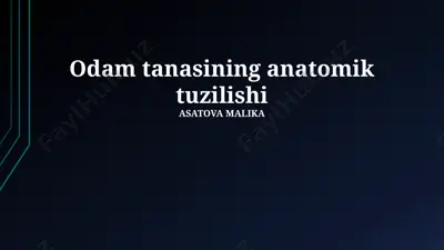 odam tanasining anatomik tuzilishi — PPTX